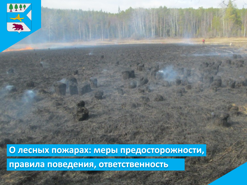 О лесных пожарах: меры предосторожности, правила поведения, ответственность.