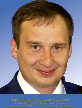 Катальников Станислав Сергеевич Катальников Станислав Сергеевич.